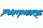 Carolina Panthers 1995-2011 DIY iron on stickers (heat transfer)